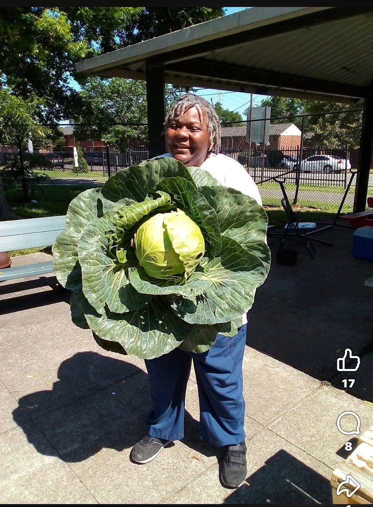 Community member holding fresh cabbage from garden